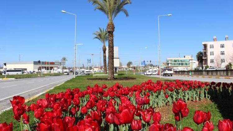 Manavgat çiçek açtı