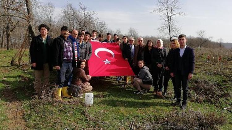 Şehitlerin anısına zeytin fidanı diktiler