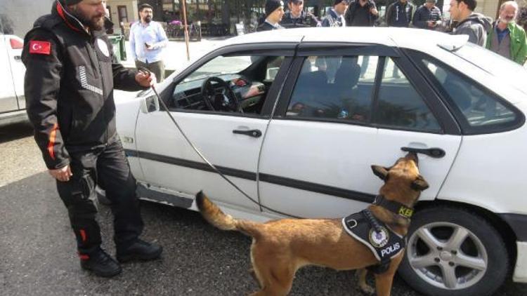 İstanbulda Kurt kapanı 15 denetimi (1)