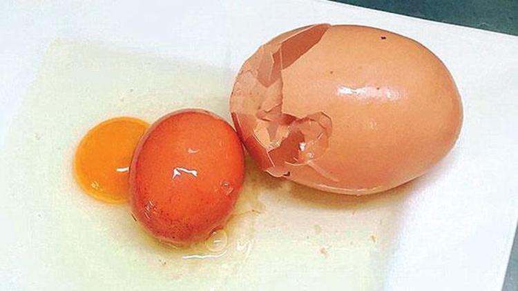Dev yumurta ‘yumurtladı’