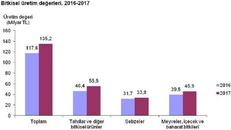 Türkiye’nin bitkisel üretim değeri 2017’de yüzde 15 arttı