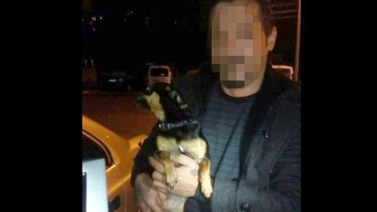 Köpek gezdiriyormuş gibi yapıyorlar ama gerçek çok başka