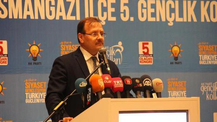 Başbakan Yardımcısı Çavuşoğlu: Türkiye, terörle mücadele kararlılığından geri adım atmayacak (2)