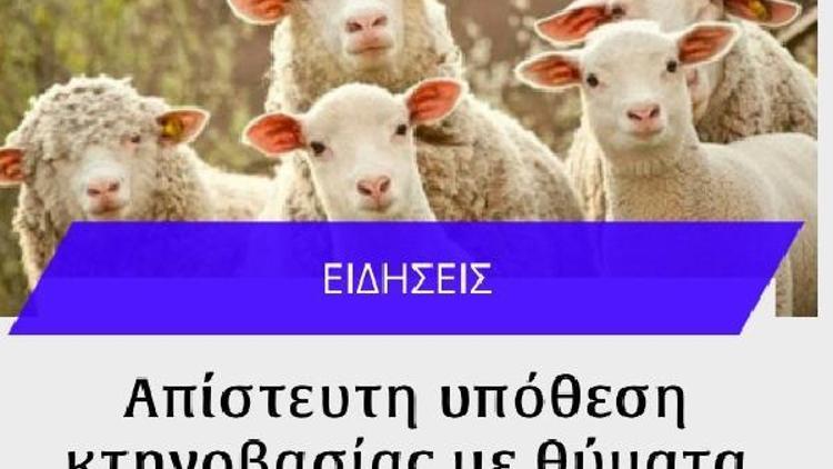 Güney Kıbrısta koyun ve keçilere tecavüzden tutuklandı