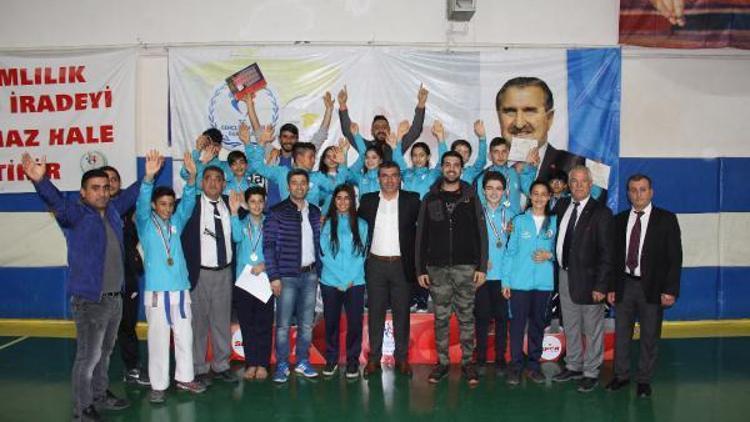 Analig karate grup birinciliği sona erdi