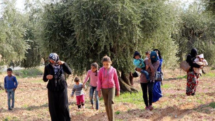 Afrin ve köylerinde, teröristlerin baskısı altındaki sivillerin kaçışı sürüyor