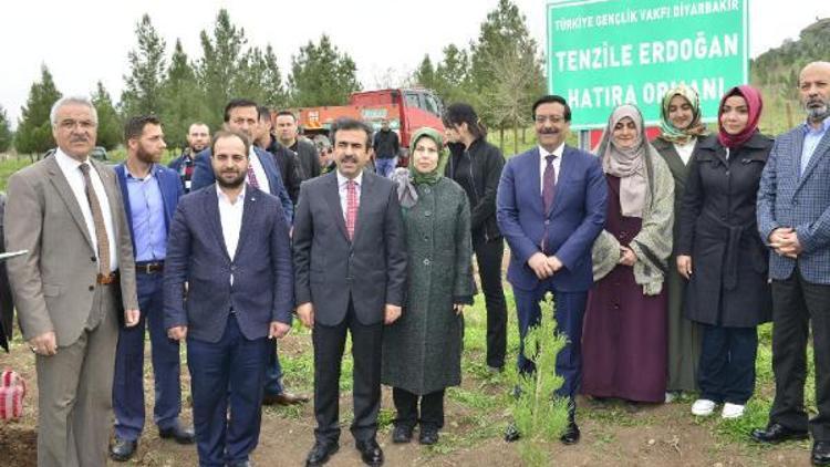 Diyarbakırda Tenzile Erdoğan Hatıra Ormanı kuruldu
