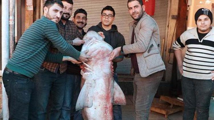 Mersinli balıkçılar yakaladı... 3 metre boyunda ve 300 kilogram