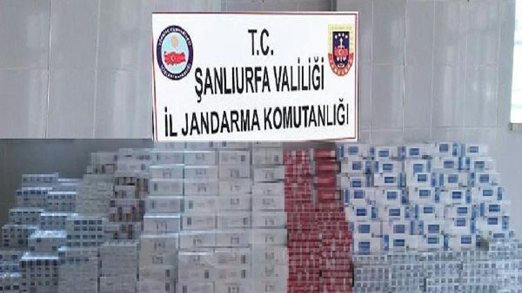 Ceylanpınarda 9 bin 500 paket kaçak sigara ele geçirildi