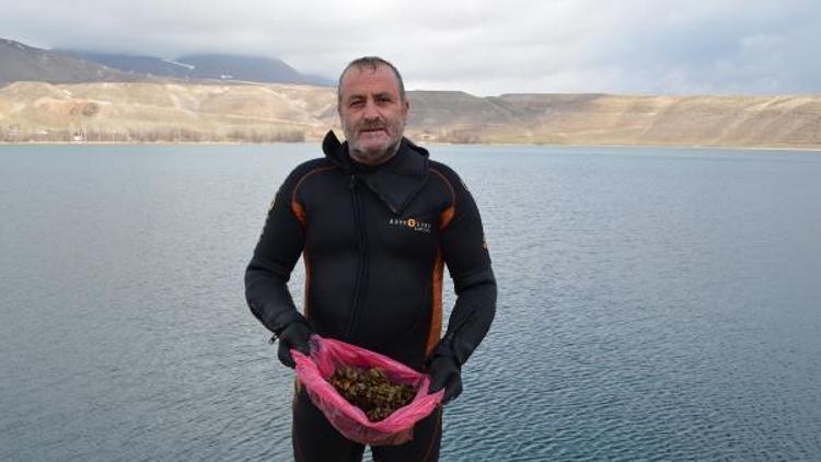 Aygır Gölü, zebra midye tehlikesi ile karşı karşıya