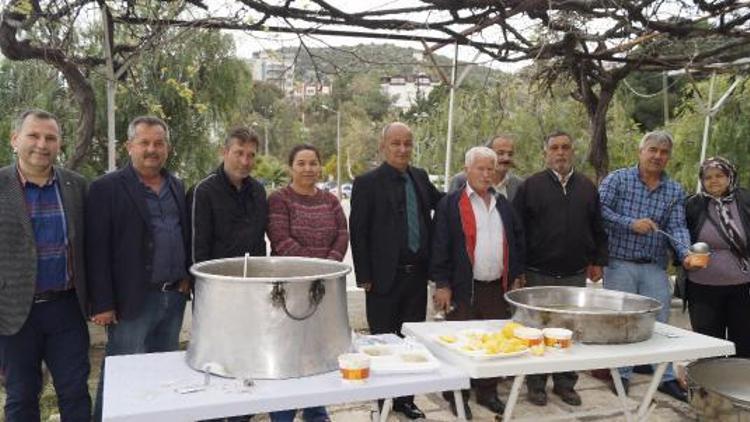 Finikede kölle etkinliği