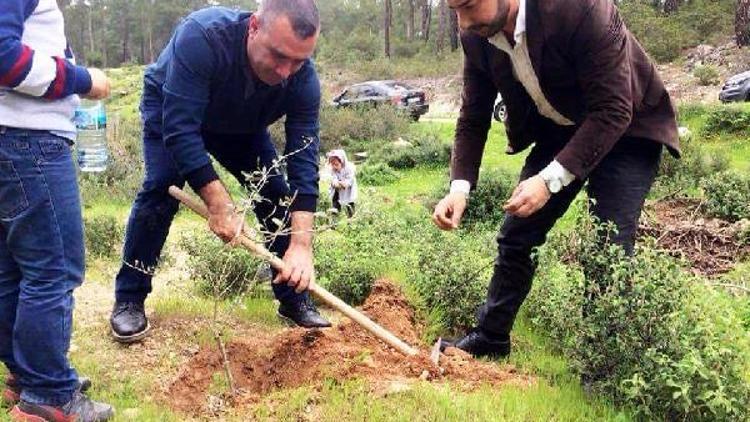 Afrin şehitleri anısına zeytin fidanı diktiler