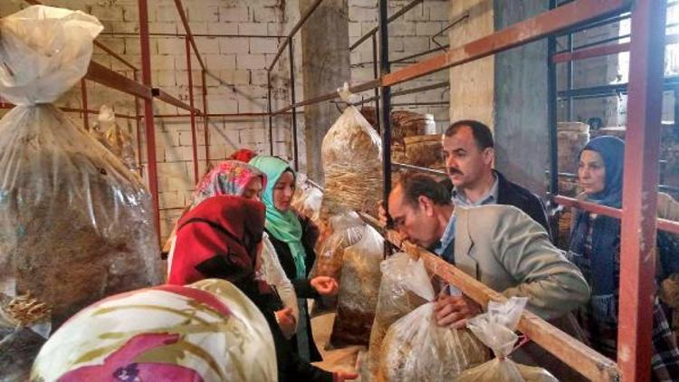 Mantar yetiştiriciliği kursiyerlerine teknik gezi