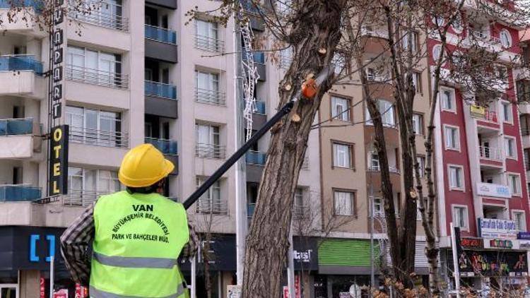 Van Büyükşehir Belediyesinden ağaç budama çalışması