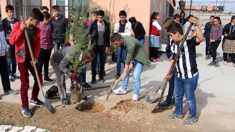Silopili öğrenciler, Zeytin Dalı Harekatı şehitleri için fidan dikti