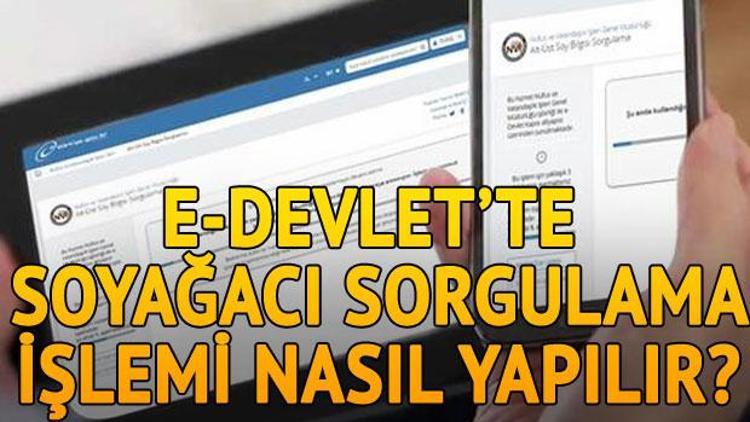 E-Devletten Soyağacı sorgulama işlemi nasıl yapılır