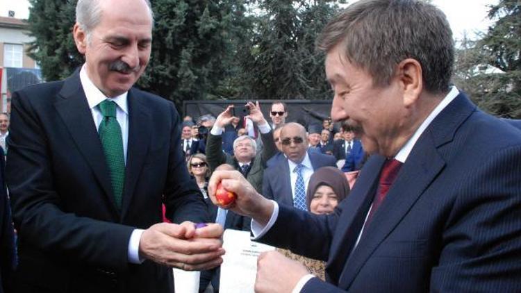 Bakan Kurtulmuş: Nevruzdan ders alarak birliğimizi artıracağız