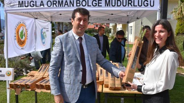 Marmariste 4 saatte, 6 bin fidan dağıtıldı