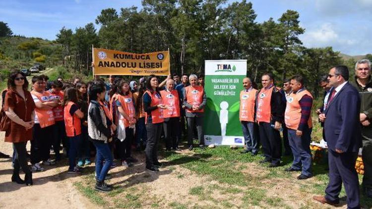 Kumlucada fidan dikim etkinliği