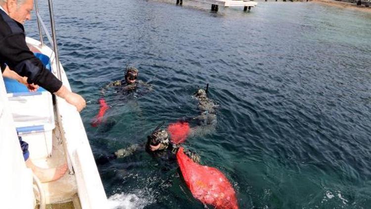 Kadıkalesinde deniz dibi temizliği