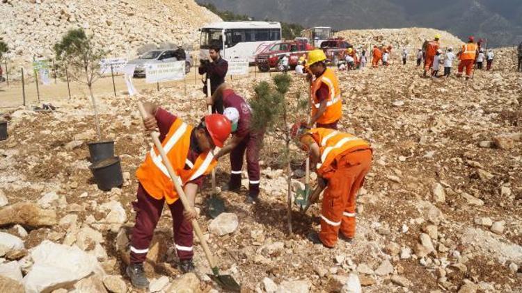 Ocak sahasına fidan dikildi