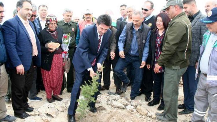 Erdemlide şehitler ve gaziler için hatıra orman