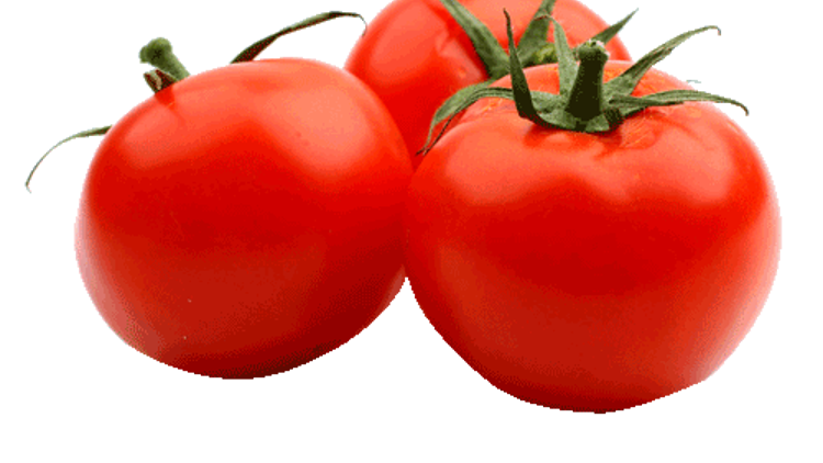Son dakika... 4 şirket daha Rusyaya domates ihracatına başlıyor