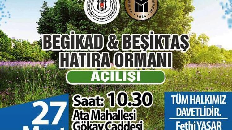 Yenimahallede Beşiktaş ormanı açılıyor