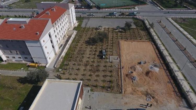 İzmir ve Manisada okul bahçelerine 70 bin fidan