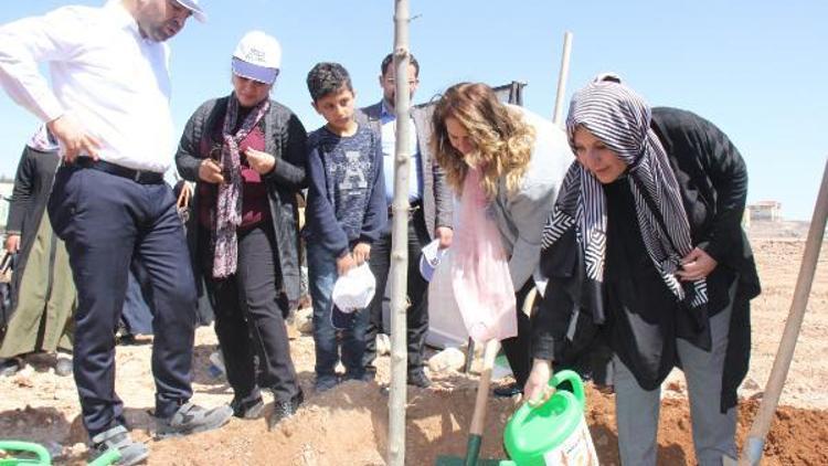 Büyükşehir’in ağaç seferberliği sürüyor