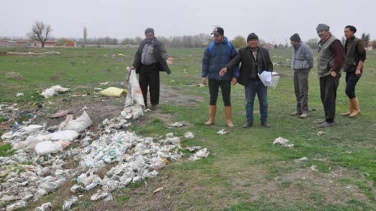 Koyunların mevsimlik tarım işçilerinin attığı çöplerden telef olduğu iddiası