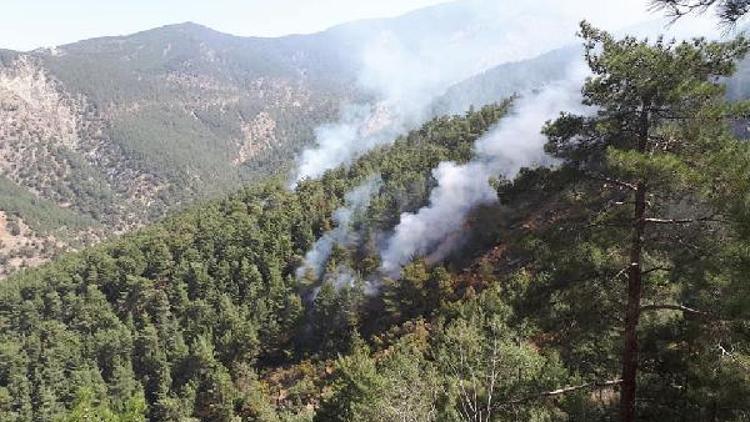 PKKlı teröristler ormanı ateşe verdi; 5 hektar zarar gördü