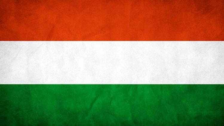 ‘Macarları, Macarlara karşı kışkırtıyorlar’
