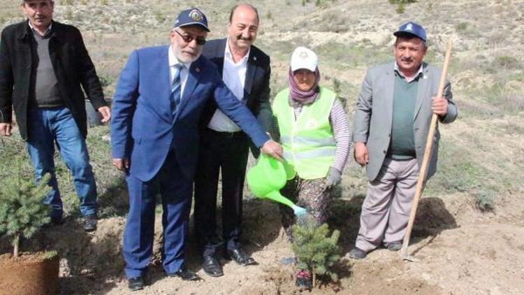 Çankırıda Afrin şehitleri için hatıra ormanı oluşturuldu