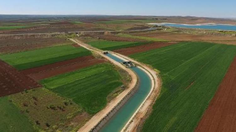 Atatürk Barajından Suruç Ovasına su verildi