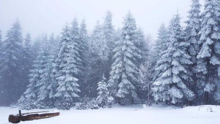 Sakaryada yayla karla kaplandı