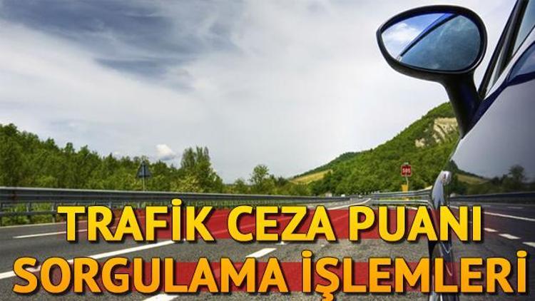 Trafik ceza puanı sorgulama | Ehliyet ceza puanları