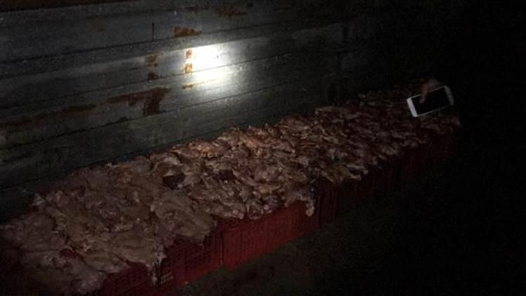 Polis bir eve baskın yaptı, 3 ton ele geçirildi