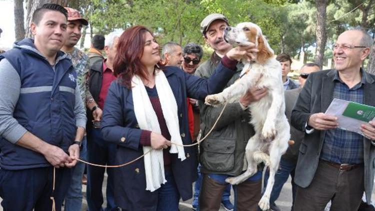 Aydında Köpek Güzellik Yarışması