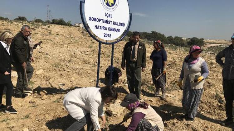 İçel Soroptimist Kulübünden hatıra ormanı