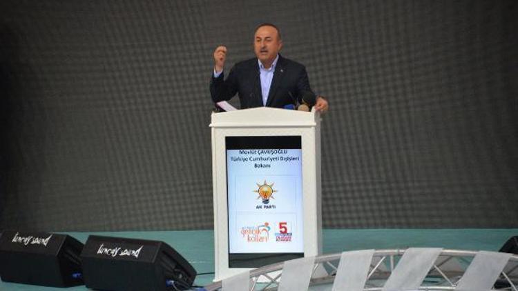 Dışişleri Bakanı Çavuşoğlu: Trumpın YPG kararı olumlu (2)