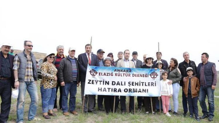 Ankara’daki Elazığlılar’dan bin 50 fidanla şehitler hatıra ormanı