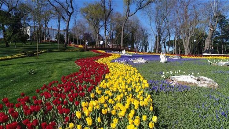 İstanbulda lale zamanı...