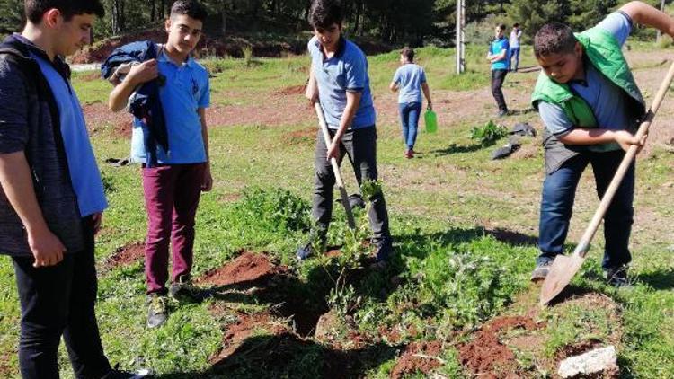 Okul bahçesine bin fidan dikildi