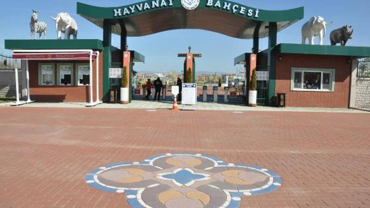 Eskişehir Hayvanat Bahçesine 1 yılda 650 bin ziyaretçi