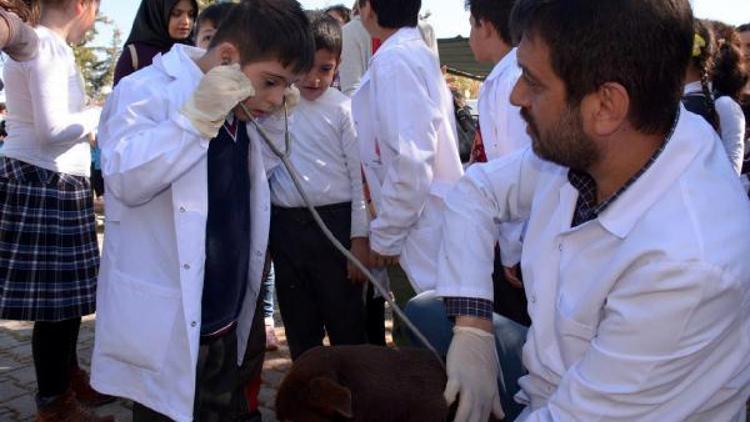 Özel eğitim sınıfı öğrencileri barınaktaki hayvanları sevdi