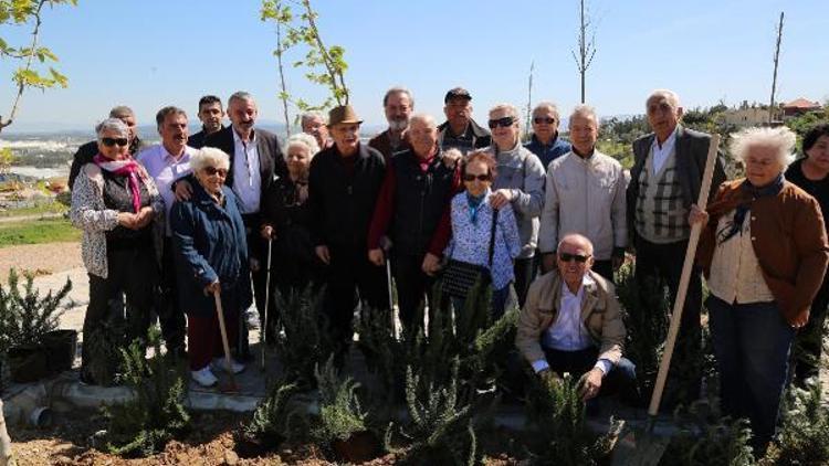 Çınarlar fidan dikti