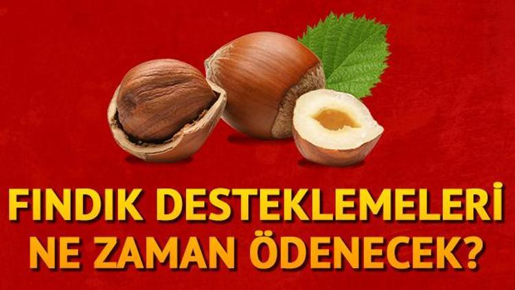 2018 Fındık destekleme ödemeleri ne zaman verilecek İşte ödeme planı