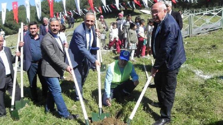 Ödemiş Belediyesinden ölen personel ve meclis üyesi anısına fidan dikimi