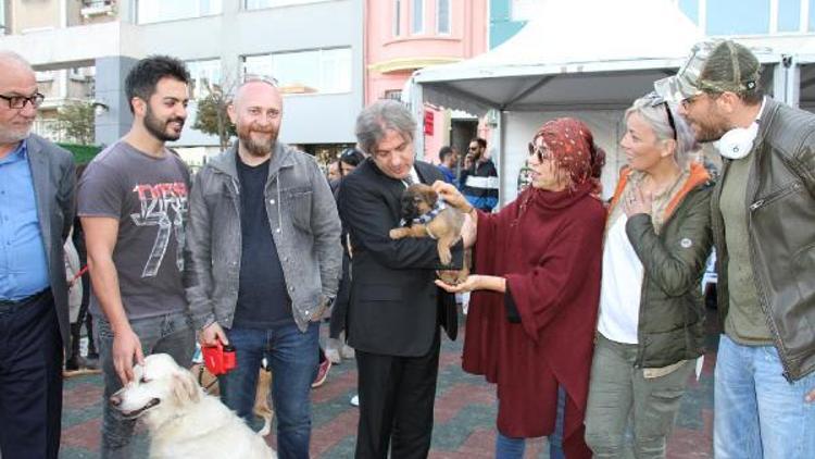 Ünlü isimlerden sokak hayvanları için ‘Satın Alma Sahiplen’ çağrısı